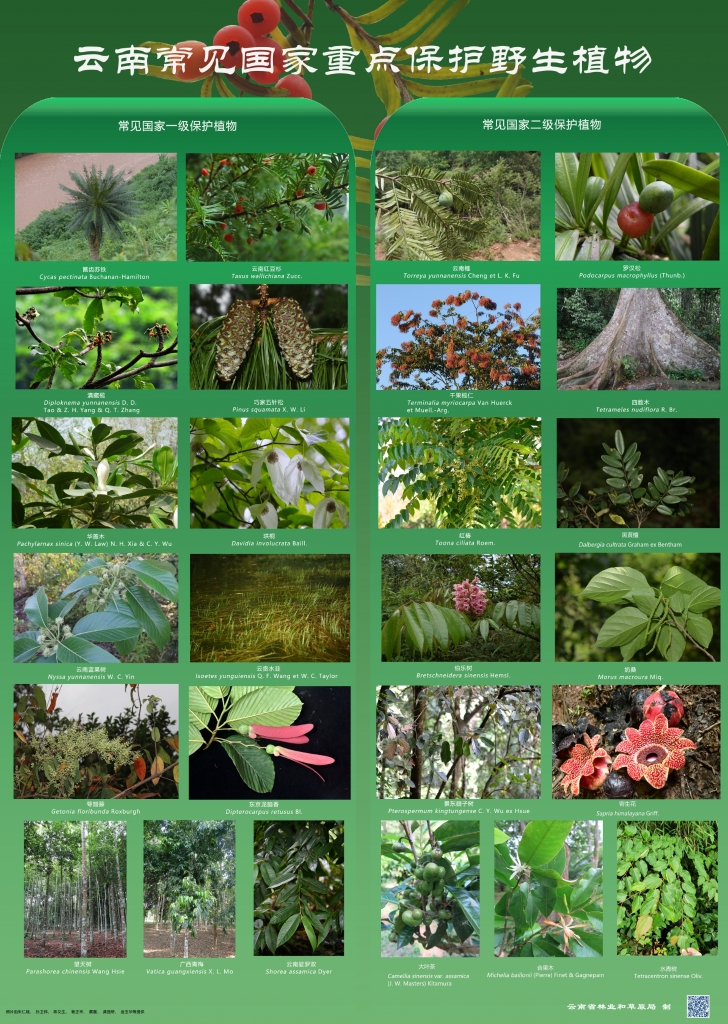 以案普法：危害国家重点；；；；；；ぶ参镒